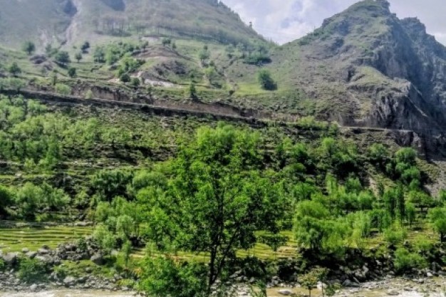 Packers and Movers in Baramulla