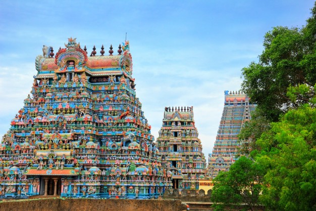 Packers and Movers in Trichy